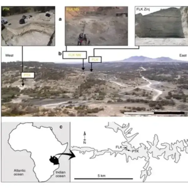 اكتشاف تانزانيا اكتشاف حفريات بتانزانيا
