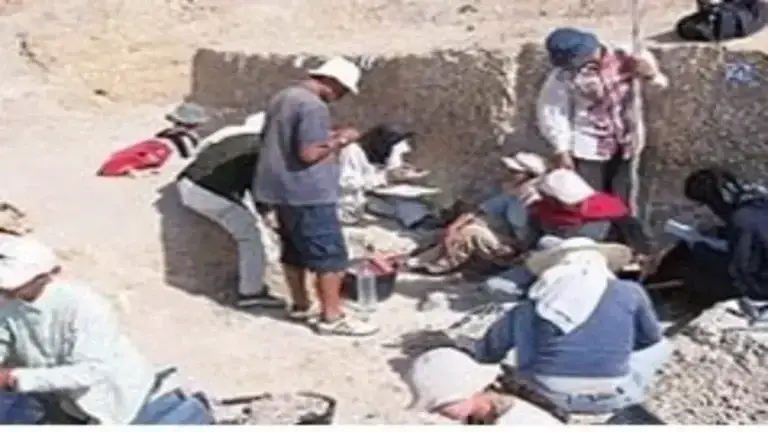 اصل الإنسان وحفريات المغرب| هل عاش آدم قبل 300 ألف عام؟ 1 أصل الإنسان